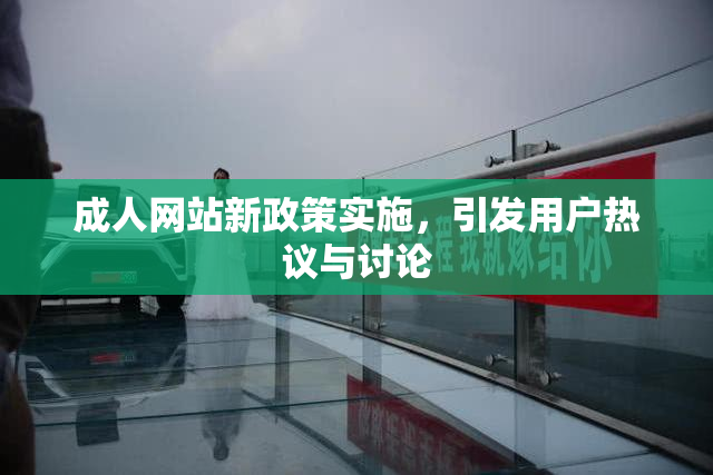 成人网站新政策实施，引发用户热议与讨论