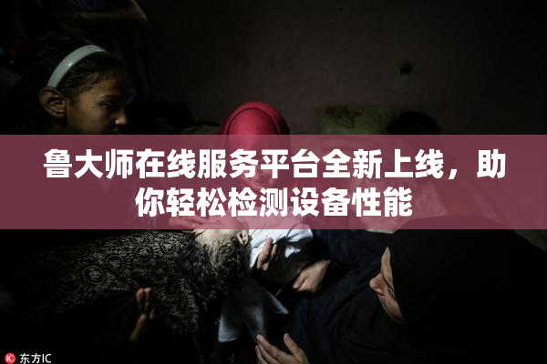 鲁大师在线服务平台全新上线，助你轻松检测设备性能