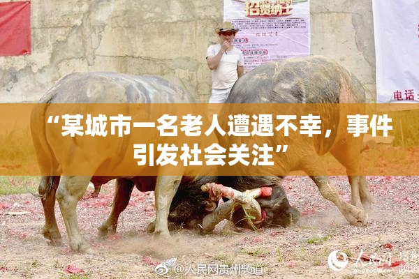 “某城市一名老人遭遇不幸，事件引发社会关注”
