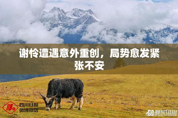谢怜遭遇意外重创，局势愈发紧张不安