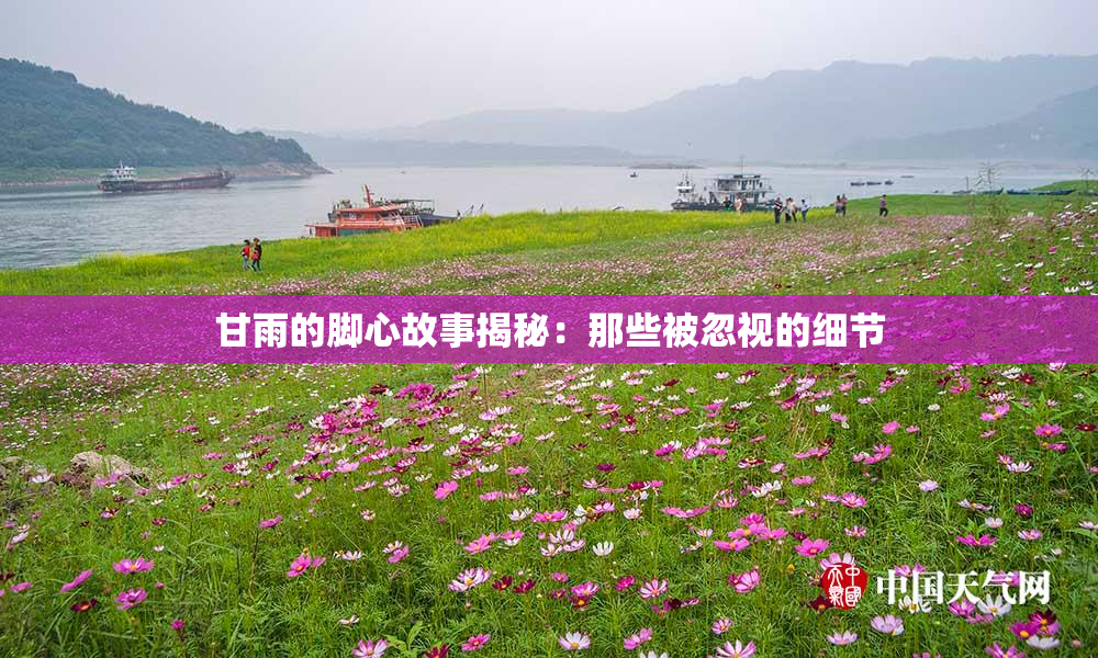 甘雨的脚心故事揭秘：那些被忽视的细节