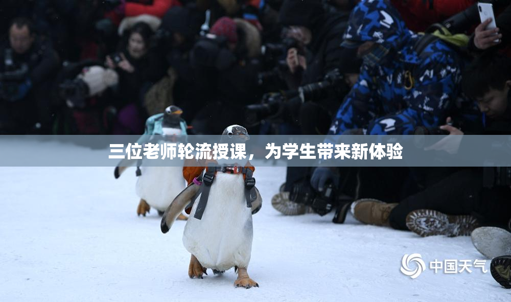 三位老师轮流授课，为学生带来新体验