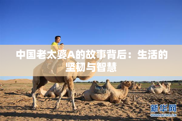 中国老太婆A的故事背后：生活的坚韧与智慧