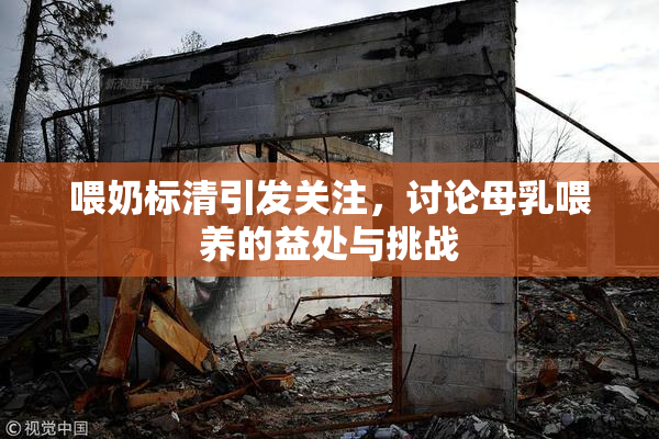喂奶标清引发关注，讨论母乳喂养的益处与挑战