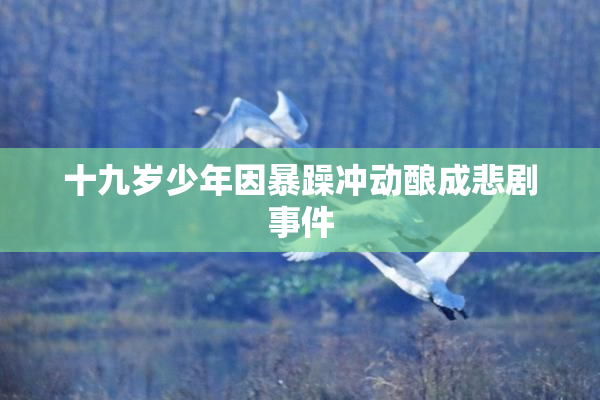 十九岁少年因暴躁冲动酿成悲剧事件