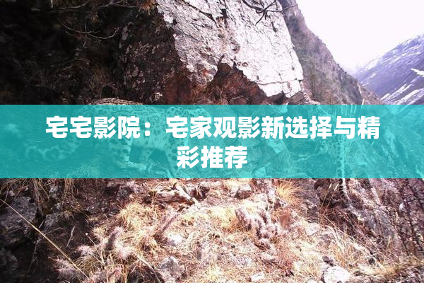 宅宅影院：宅家观影新选择与精彩推荐