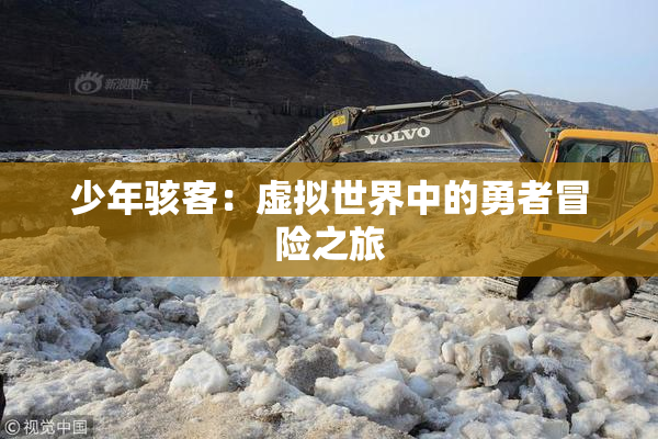 少年骇客：虚拟世界中的勇者冒险之旅
