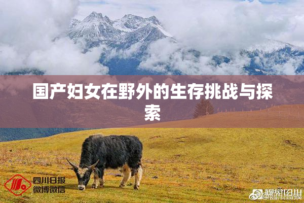 国产妇女在野外的生存挑战与探索