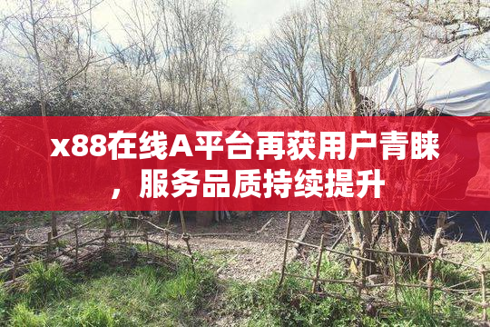 x88在线A平台再获用户青睐，服务品质持续提升