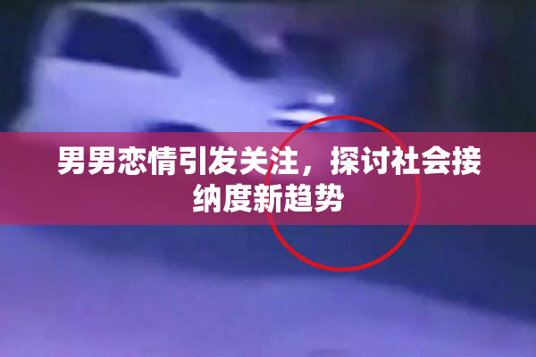 男男恋情引发关注，探讨社会接纳度新趋势