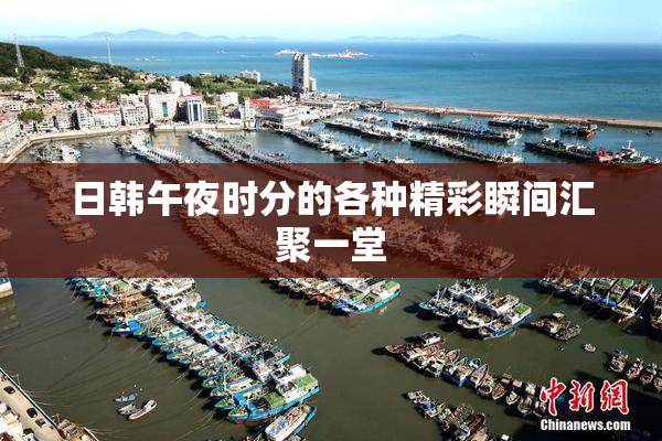 日韩午夜时分的各种精彩瞬间汇聚一堂