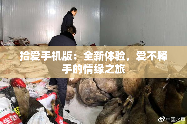 拾爱手机版：全新体验，爱不释手的情缘之旅
