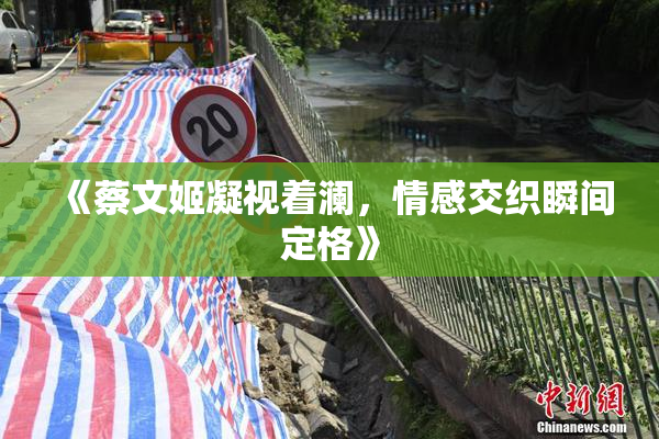 《蔡文姬凝视着澜，情感交织瞬间定格》