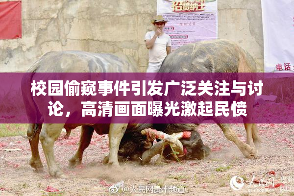 校园偷窥事件引发广泛关注与讨论，高清画面曝光激起民愤