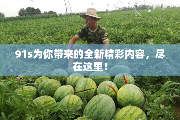 91s为你带来的全新精彩内容，尽在这里！