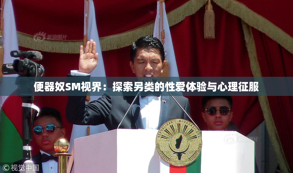 便器奴SM视界：探索另类的性爱体验与心理征服