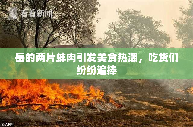 岳的两片蚌肉引发美食热潮，吃货们纷纷追捧