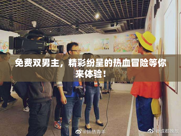 免费双男主，精彩纷呈的热血冒险等你来体验！
