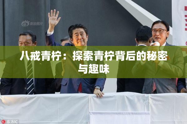 八戒青柠：探索青柠背后的秘密与趣味