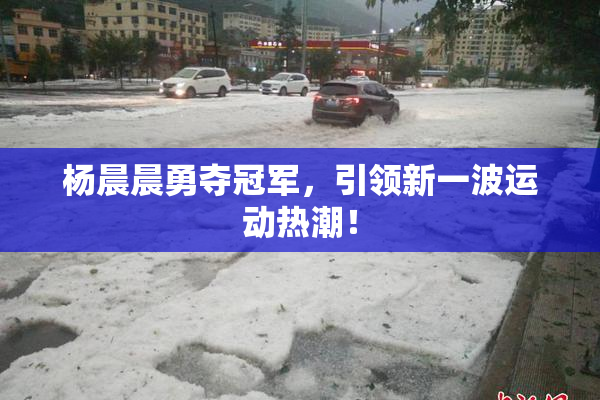 杨晨晨勇夺冠军，引领新一波运动热潮！