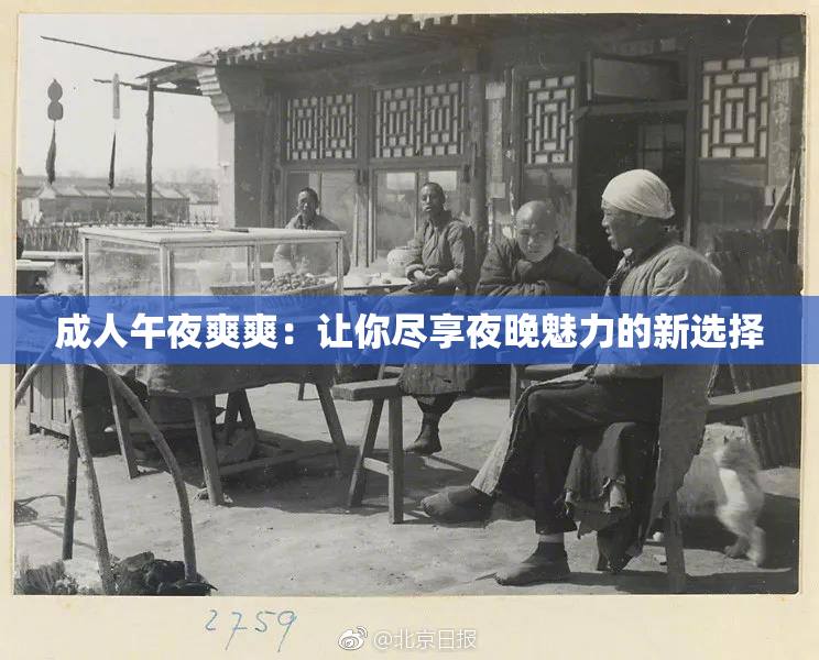 成人午夜爽爽：让你尽享夜晚魅力的新选择