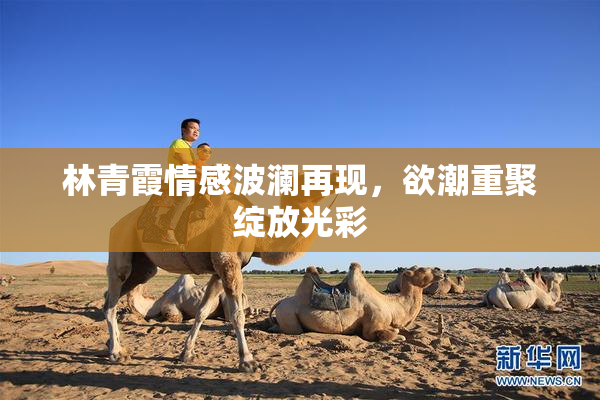 林青霞情感波澜再现，欲潮重聚绽放光彩