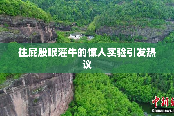 往屁股眼灌牛的惊人实验引发热议