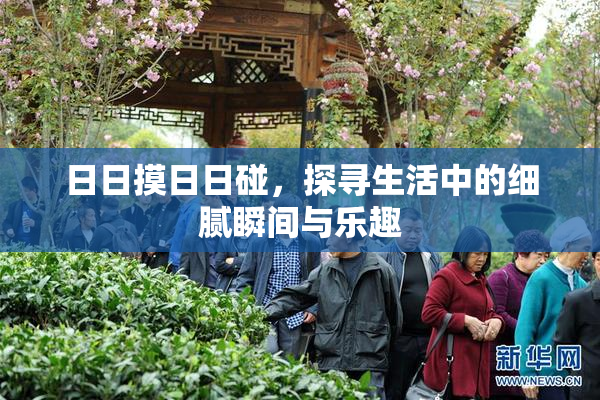 日日摸日日碰，探寻生活中的细腻瞬间与乐趣