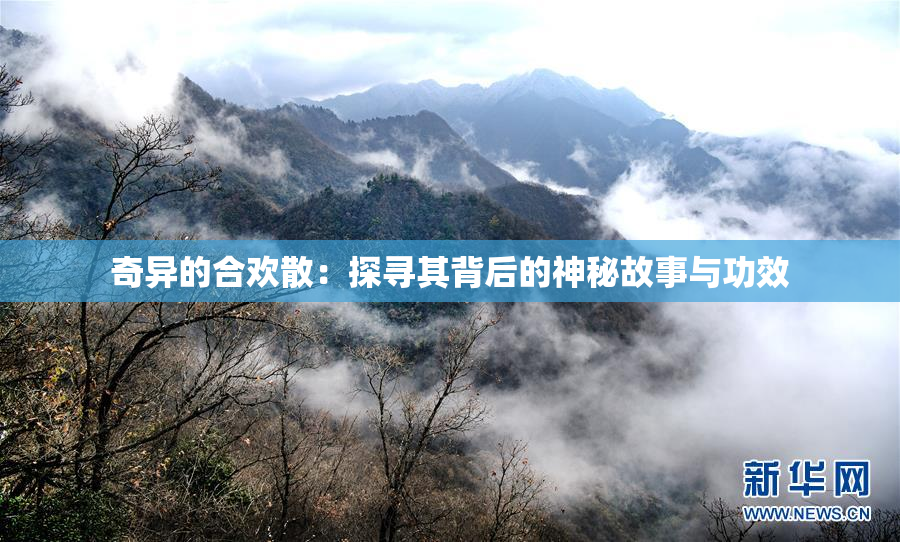 奇异的合欢散：探寻其背后的神秘故事与功效