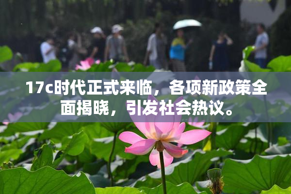 17c时代正式来临，各项新政策全面揭晓，引发社会热议。