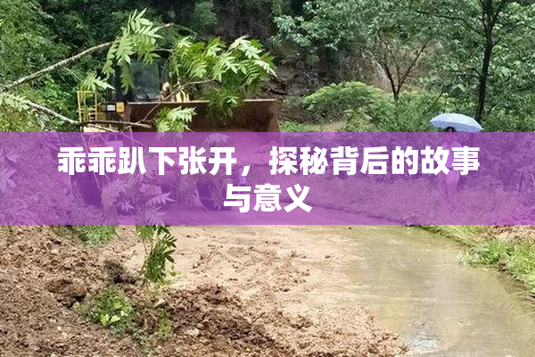 乖乖趴下张开，探秘背后的故事与意义