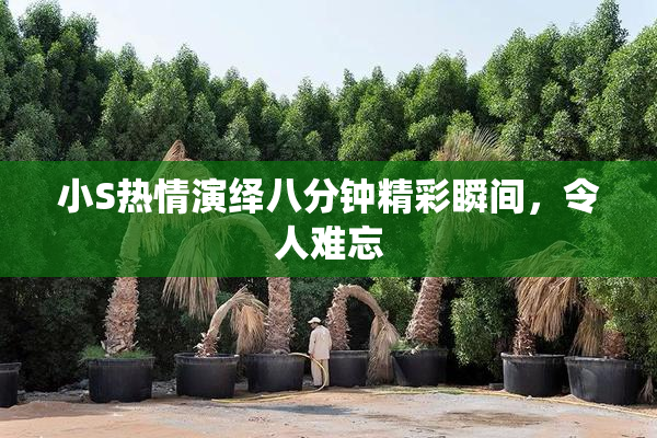 小S热情演绎八分钟精彩瞬间，令人难忘