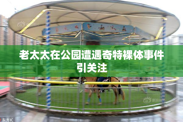 老太太在公园遭遇奇特裸体事件引关注