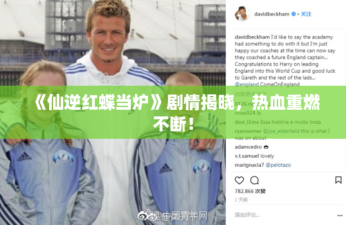《仙逆红蝶当炉》剧情揭晓，热血重燃不断！
