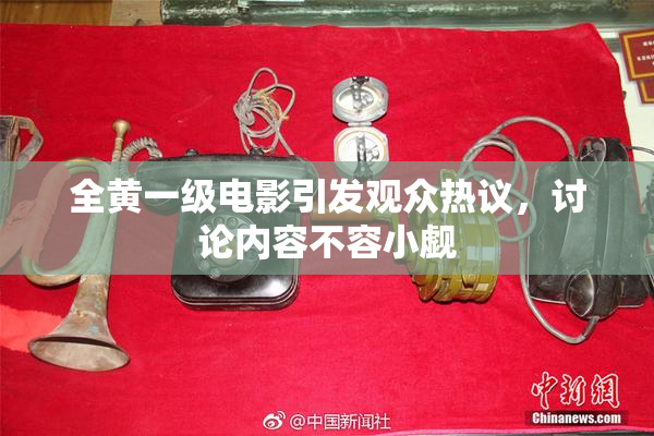 全黄一级电影引发观众热议，讨论内容不容小觑