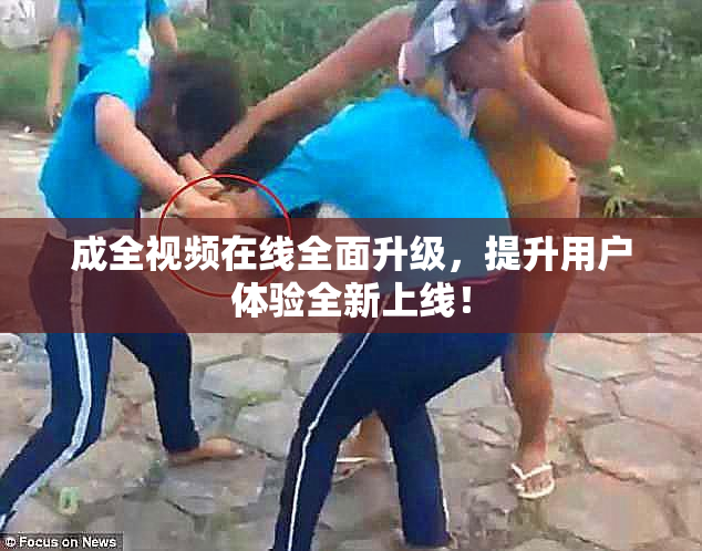 成全视频在线全面升级，提升用户体验全新上线！