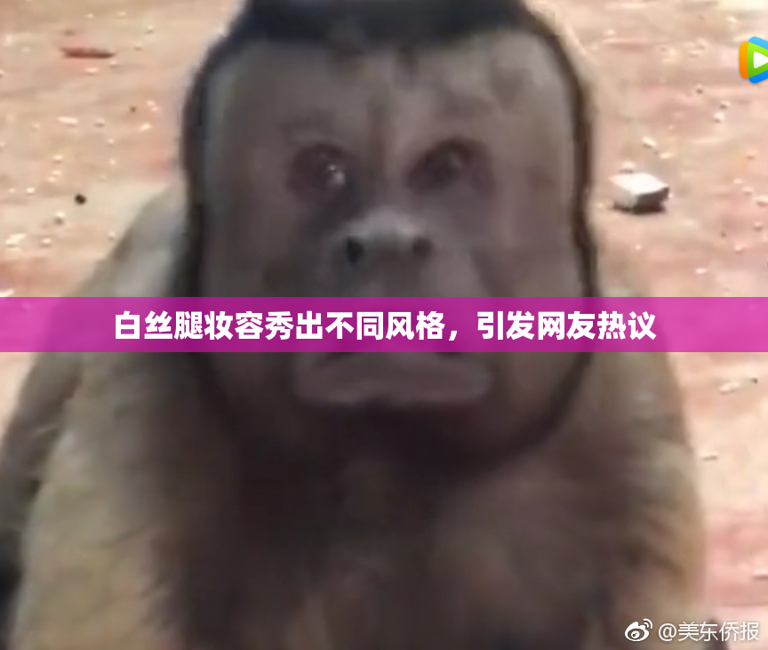 白丝腿妆容秀出不同风格，引发网友热议