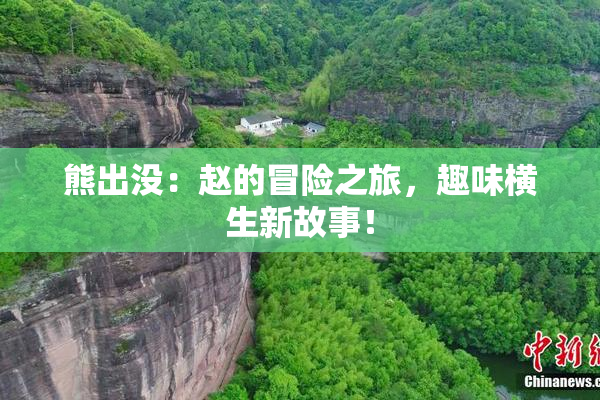 熊出没：赵的冒险之旅，趣味横生新故事！