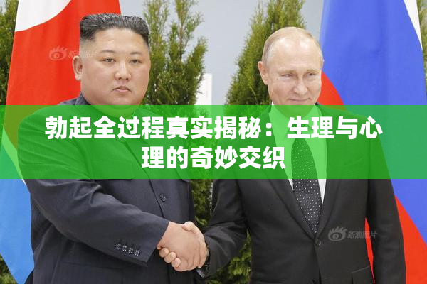 勃起全过程真实揭秘：生理与心理的奇妙交织