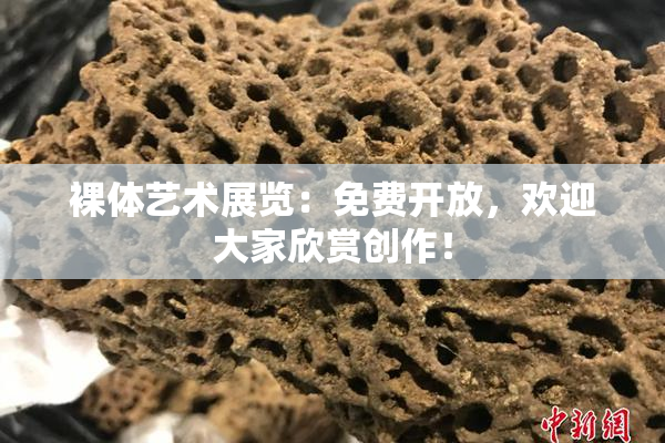 裸体艺术展览：免费开放，欢迎大家欣赏创作！
