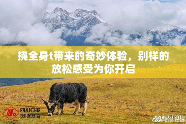 挠全身t带来的奇妙体验，别样的放松感受为你开启