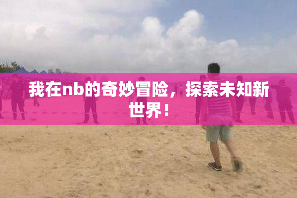 我在nb的奇妙冒险，探索未知新世界！