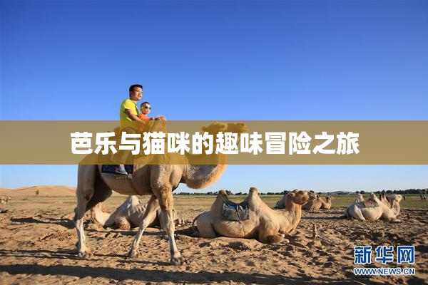 芭乐与猫咪的趣味冒险之旅