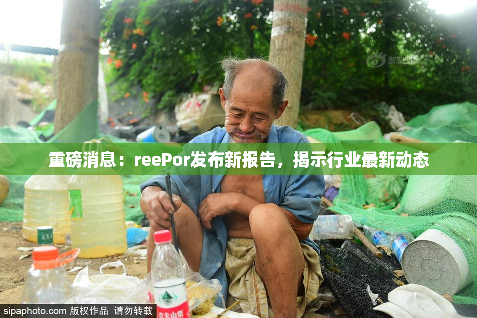 重磅消息：reePor发布新报告，揭示行业最新动态