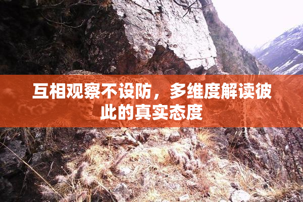 互相观察不设防，多维度解读彼此的真实态度