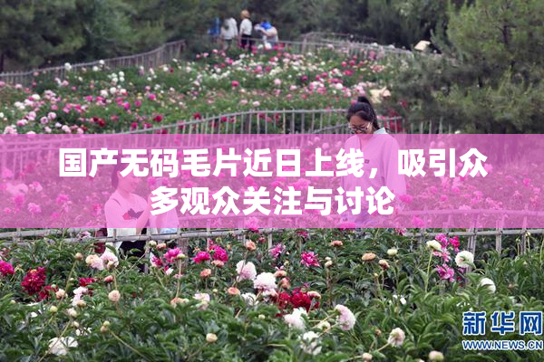 国产无码毛片近日上线，吸引众多观众关注与讨论