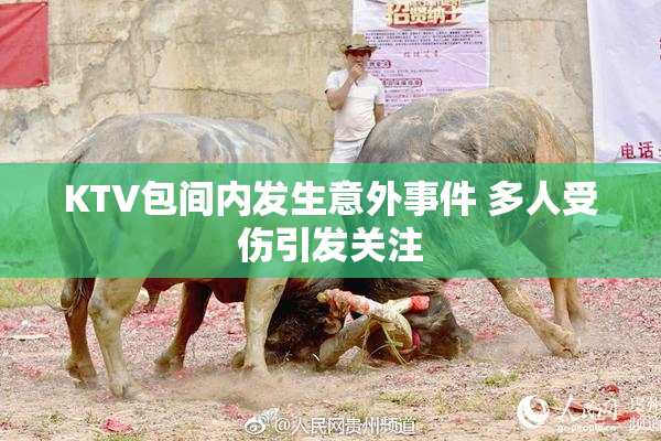 KTV包间内发生意外事件 多人受伤引发关注