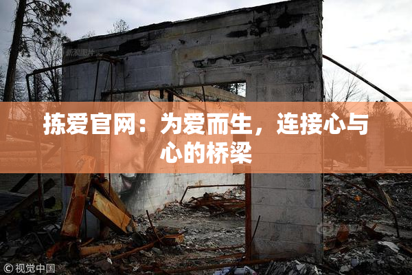 拣爱官网：为爱而生，连接心与心的桥梁