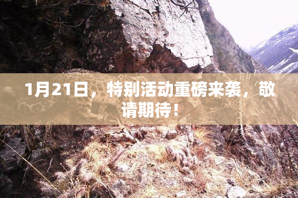 1月21日，特别活动重磅来袭，敬请期待！