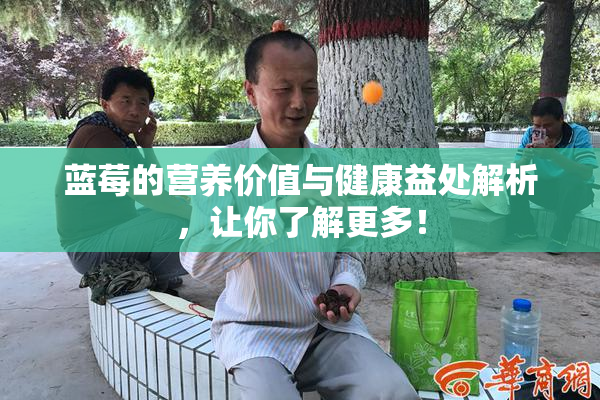 蓝莓的营养价值与健康益处解析，让你了解更多！